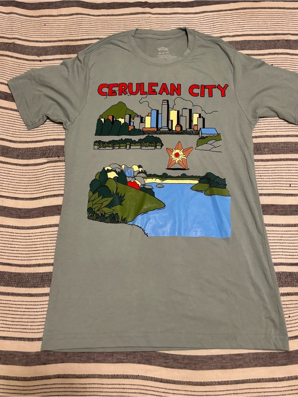 Pokemon Cerulean City Graphic Tee - Sage Green with Blue & Red Art